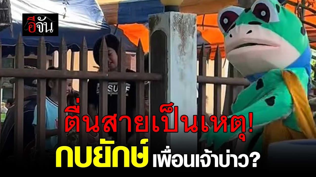 🎬 ตื่นสายเป็นเหตุ! กบยักษ์ เพื่อนเจ้าบ่าว