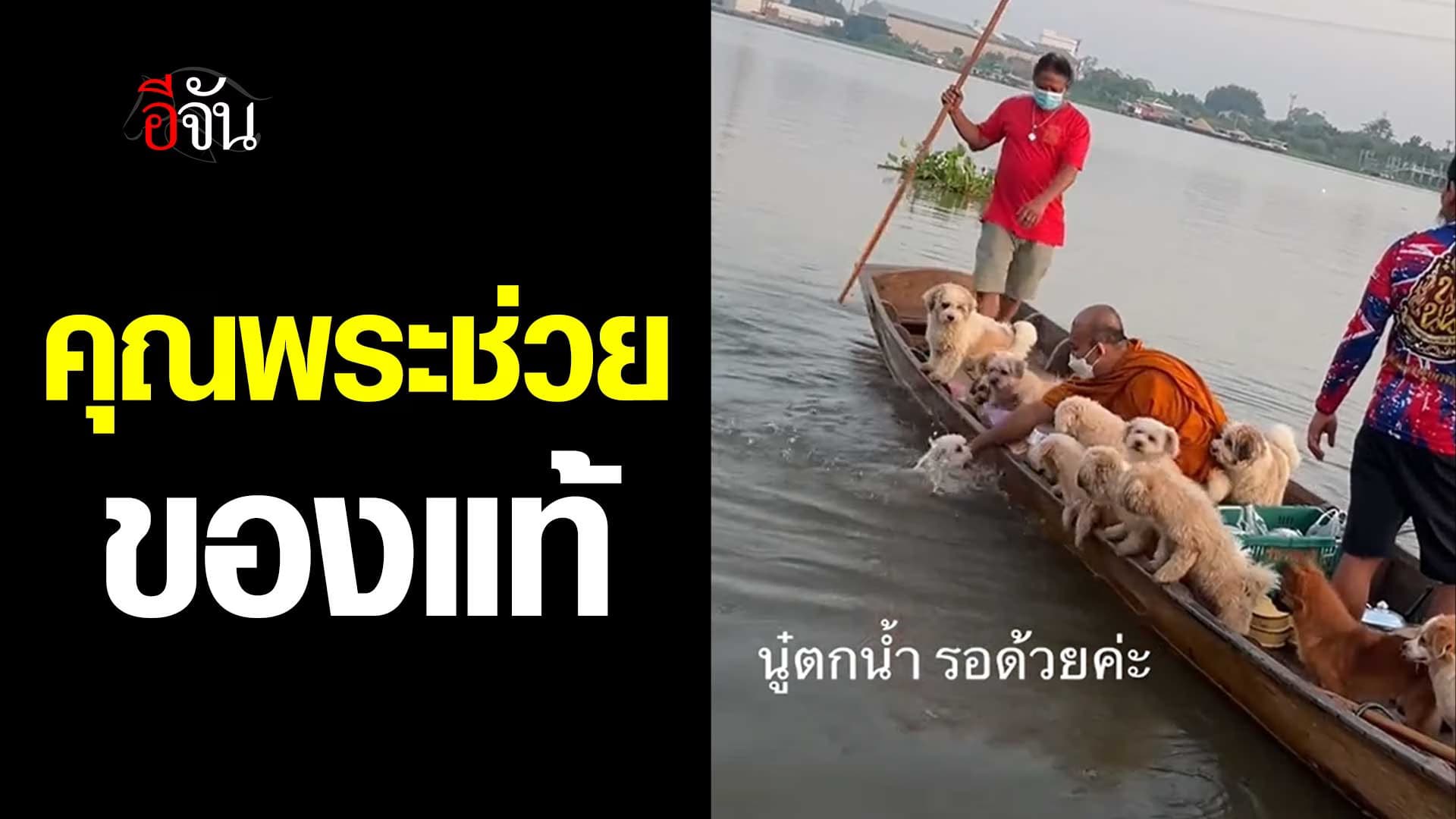 🎬 หลวงตาจ๋า ช่วยหนูด้วย