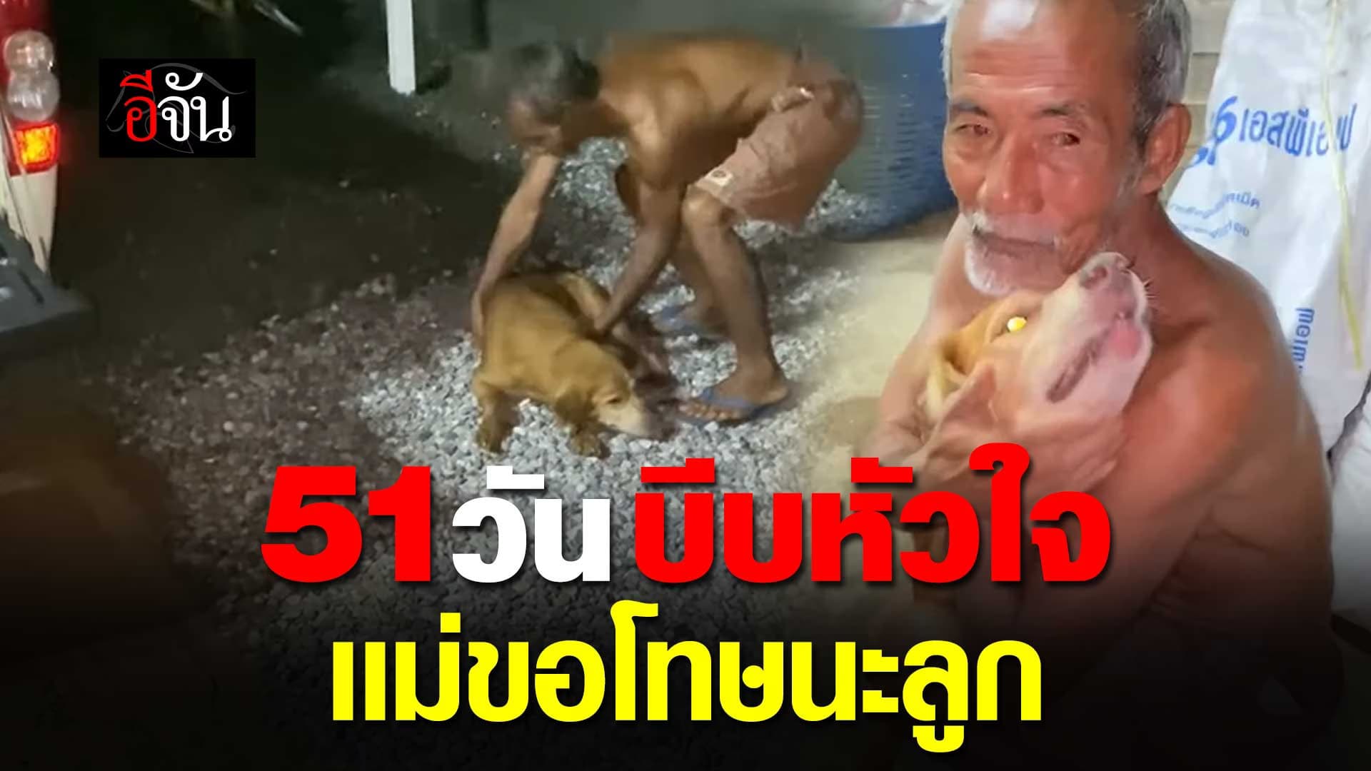 🎬 51 วัน บีบหัวใจ หมาหายออกจากบ้าน