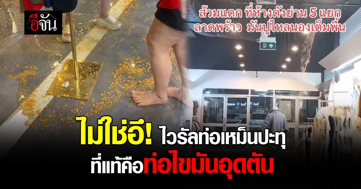 ผอ.เขตจตุจักร ส่งทีมรุดตรวจห้างดัง หลังมีคลิปไวรัลท่อเหม็นปะทุ 