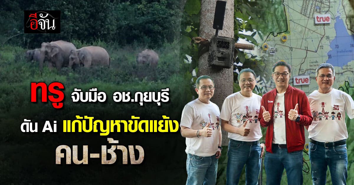True จับมือ อช.กุยบุรี แก้ปัญหาช้างบุกสวน ตั้งเป้า 5G แรงทั่วไทยปี 68