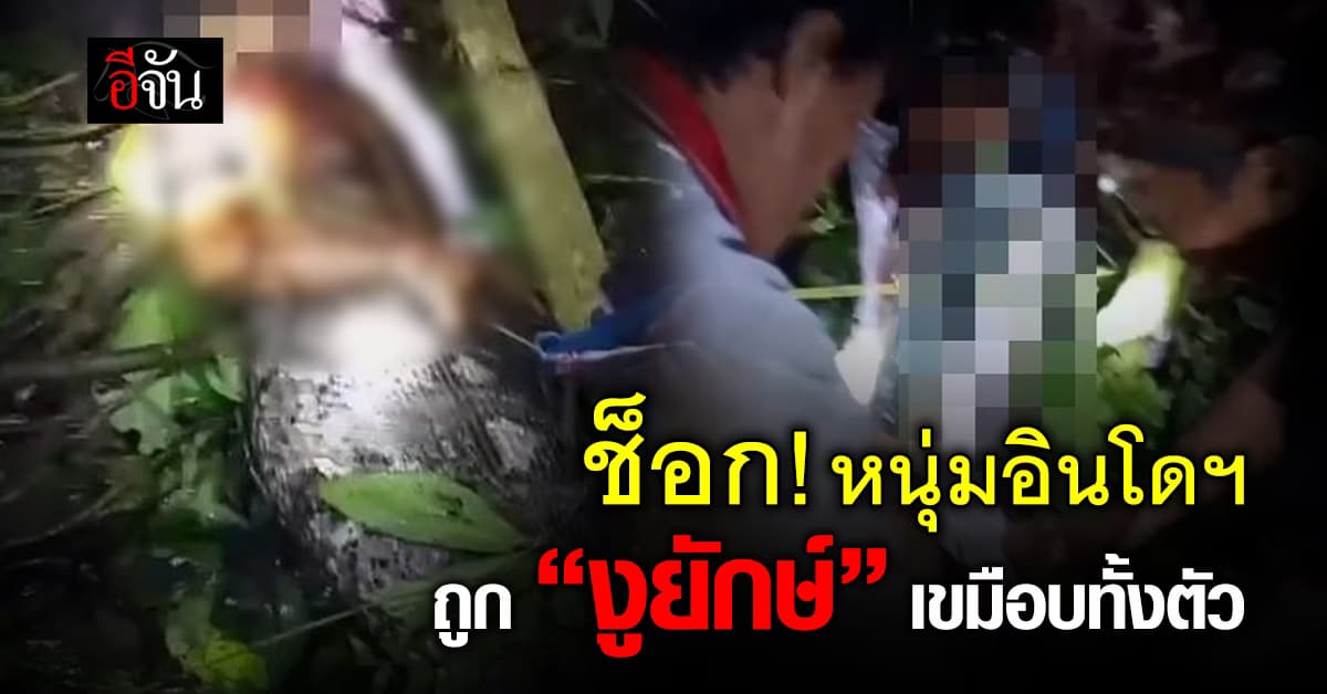 ช็อก! หนุ่มอินโดฯ ถูกงูเหลือมยักษ์ ยาว 7 เมตร เขมือบทั้งตัว  