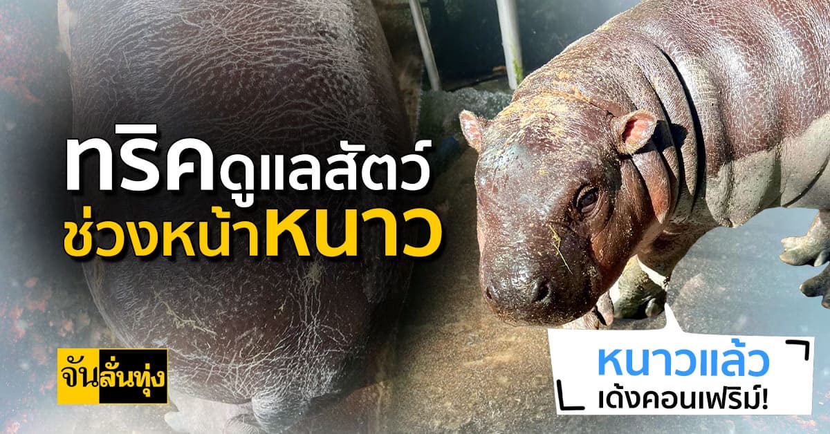 วิธีดูแลสัตว์ช่วงหน้าหนาว    