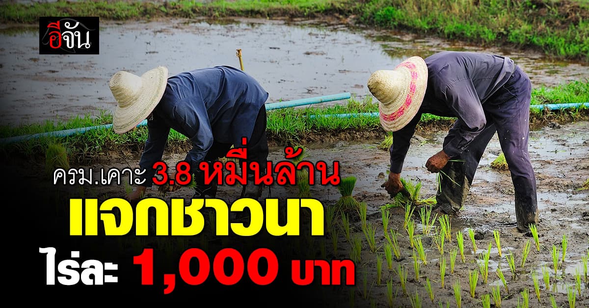ครม. เคาะ 3.8 หมื่นล้าน แจกชาวนา ไร่ละ 1,000 บาท
