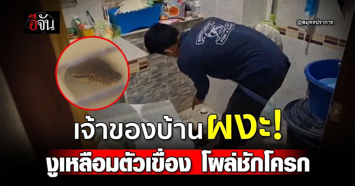 เจ้าของบ้าน ผงะ! งูเหลือมตัวเขื่อง โผล่ชักโครก ที่ สมุทรปราการ 