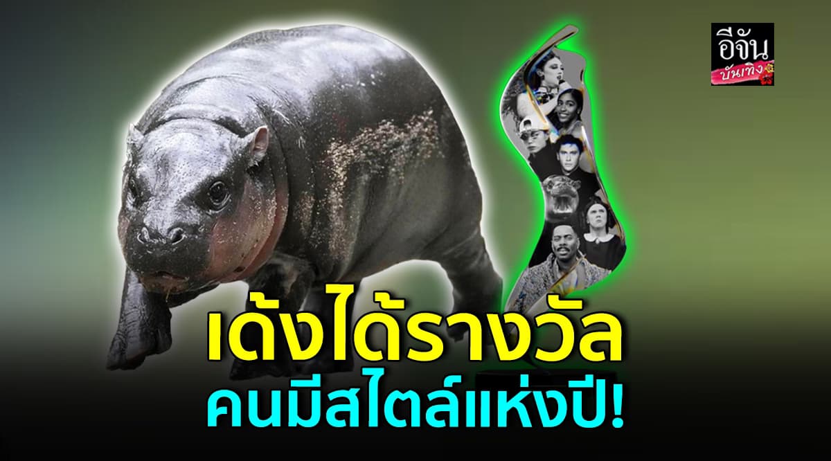 หมูเด้ง แรงเกินต้าน คว้ารางวัล คนมีสไตล์แห่งปี จาก New York Times