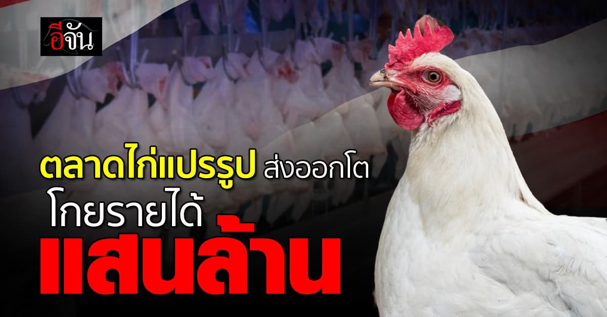 ไก่ไทยส่งออกโต ครองที่ 1 ตลาดโลก โกยรายได้กว่าแสนล้าน  