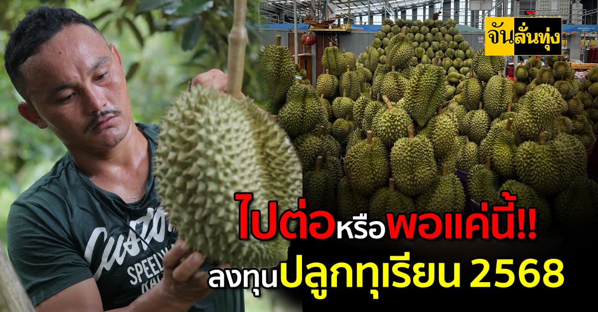 วิเคราะห์การลงทุนปลูกทุเรียนในปี2568 ยังไปต่อได้ไหม?