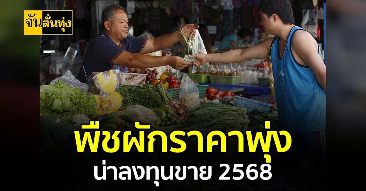 พืชผักราคาพุ่ง น่าลงทุนขาย 2568