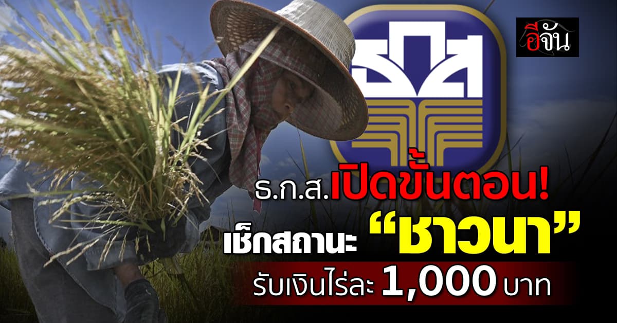 ธ.ก.ส.เปิดขั้นตอนเช็กสถานะ เงินช่วยเหลือชาวนา ไร่ละ 1,000 บาท