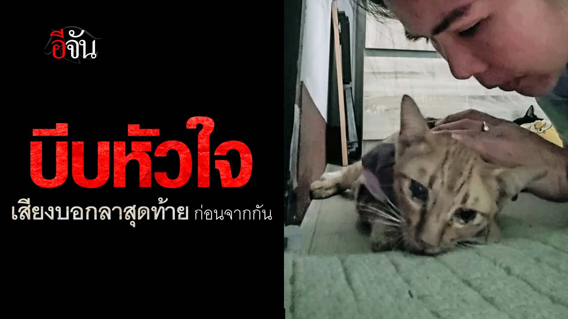 🎬 บีบหัวใจ เสียงบอกลาสุดท้าย ก่อนจากกัน