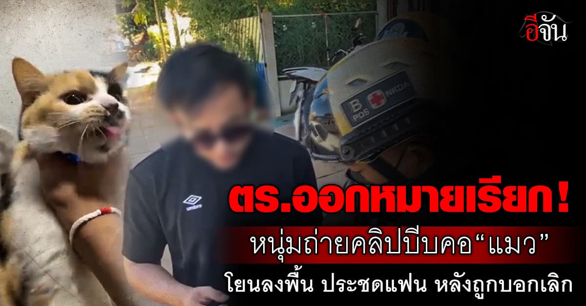 ตร.ออกหมายเรียก! หนุ่มถ่ายคลิปบีบคอ “แมว” โยนลงพื้น ประชดแฟน หลังถูกบอกเลิก