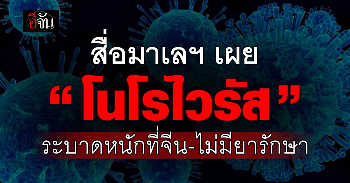 สื่อมาเลเซีย เผย เชื้อ “โนโรไวรัส” กำลังระบาดหนักในจีน – ยังไม่มียารักษา เผยเชื้อต้านเจลแอลกอฮอล์ด้วย