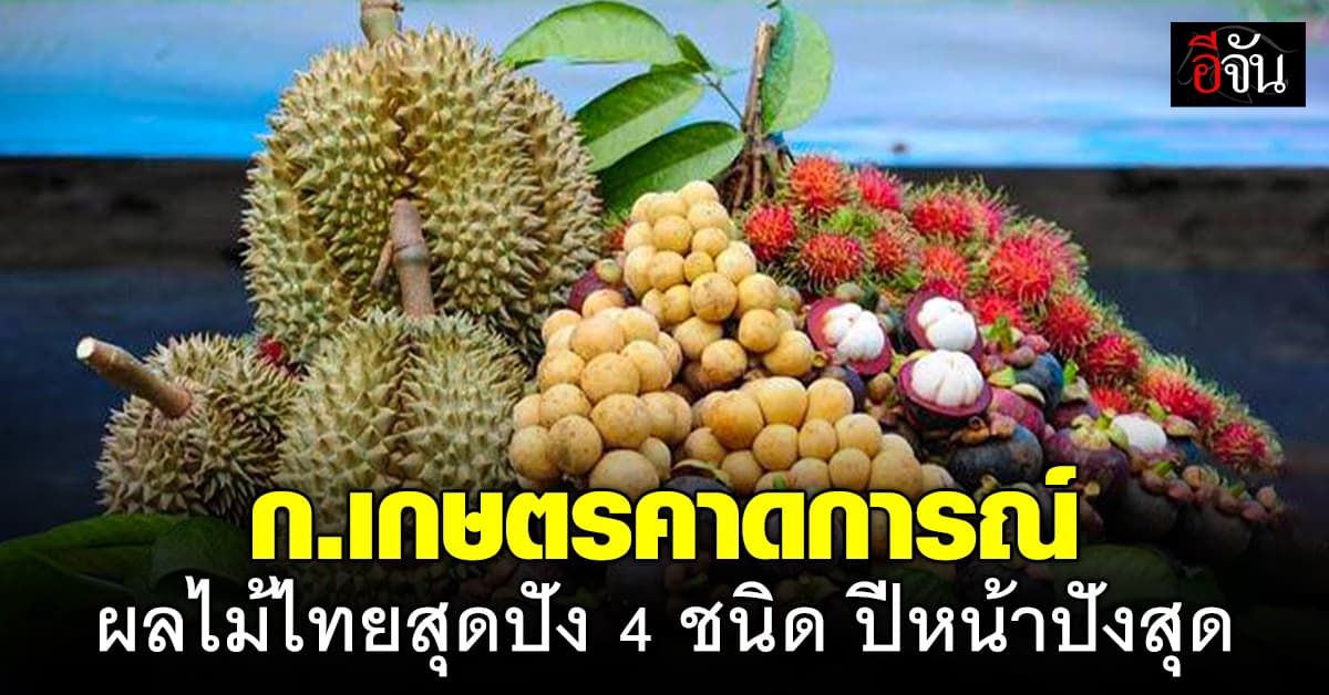 ก.เกษตร คาดการณ์ ปี 68 ผลผลิตไม้ผลภาคตะวันออก จะเพิ่มขึ้น