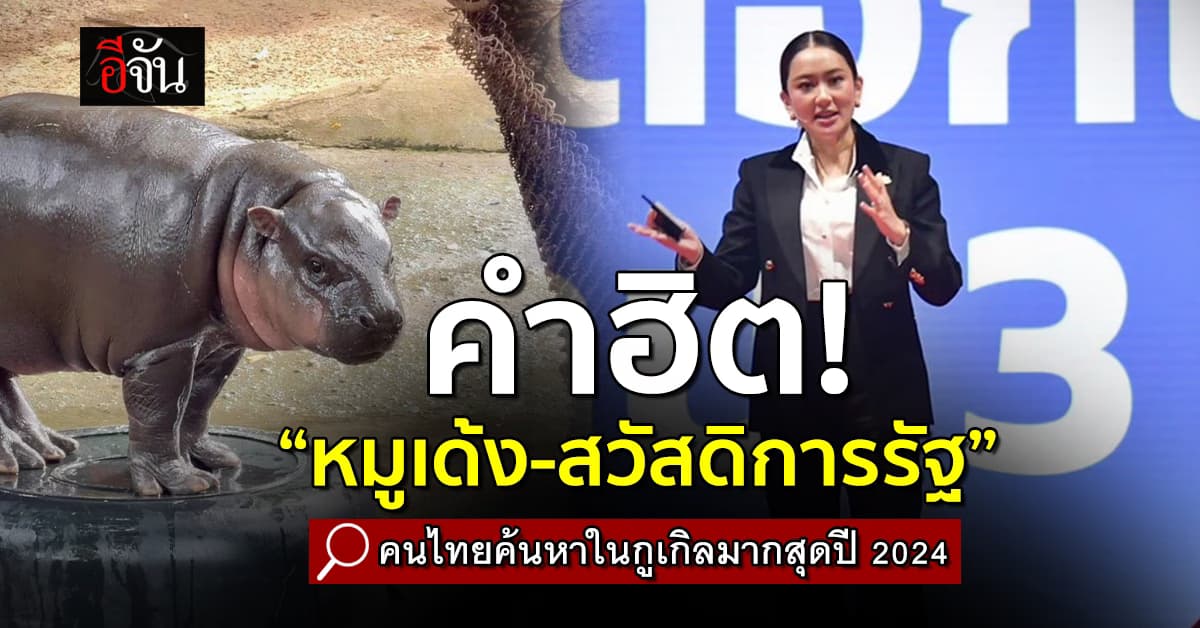 หมูเด้งนอนมา! Google Trends สรุปปี 2024 คนไทยค้นหาอะไรบ่อยที่สุด? 