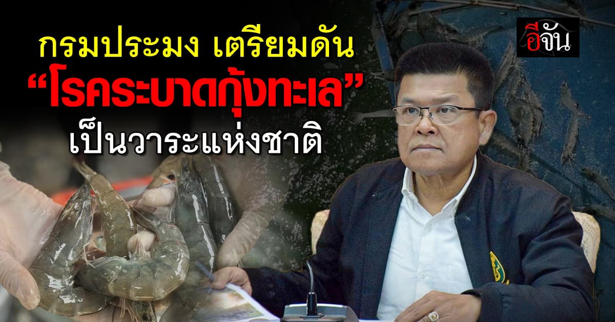 กรมประมง เตรียมชง วิกฤติโรคระบาดกุ้งทะเล เข้าครม. ดันเป็น วาระแห่งชาติ