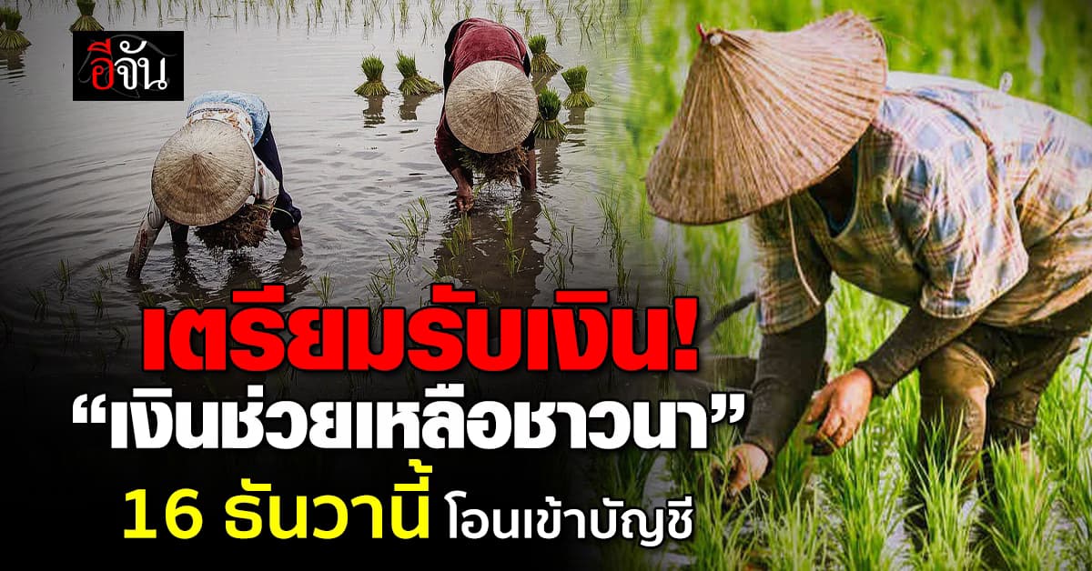 ชาวนาเตรียมเฮ ! เงินช่วยเหลือชาวนา  โอนเข้าบัญชี 16 ธันวานี้