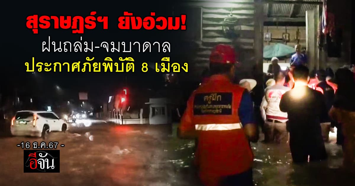 สุราษฎร์ธานีอ่วม! ฝนถล่มหนัก-หลายพื้นที่จมบาดาล พร้อมประกาศภัยพิบัติ 8 เมือง  