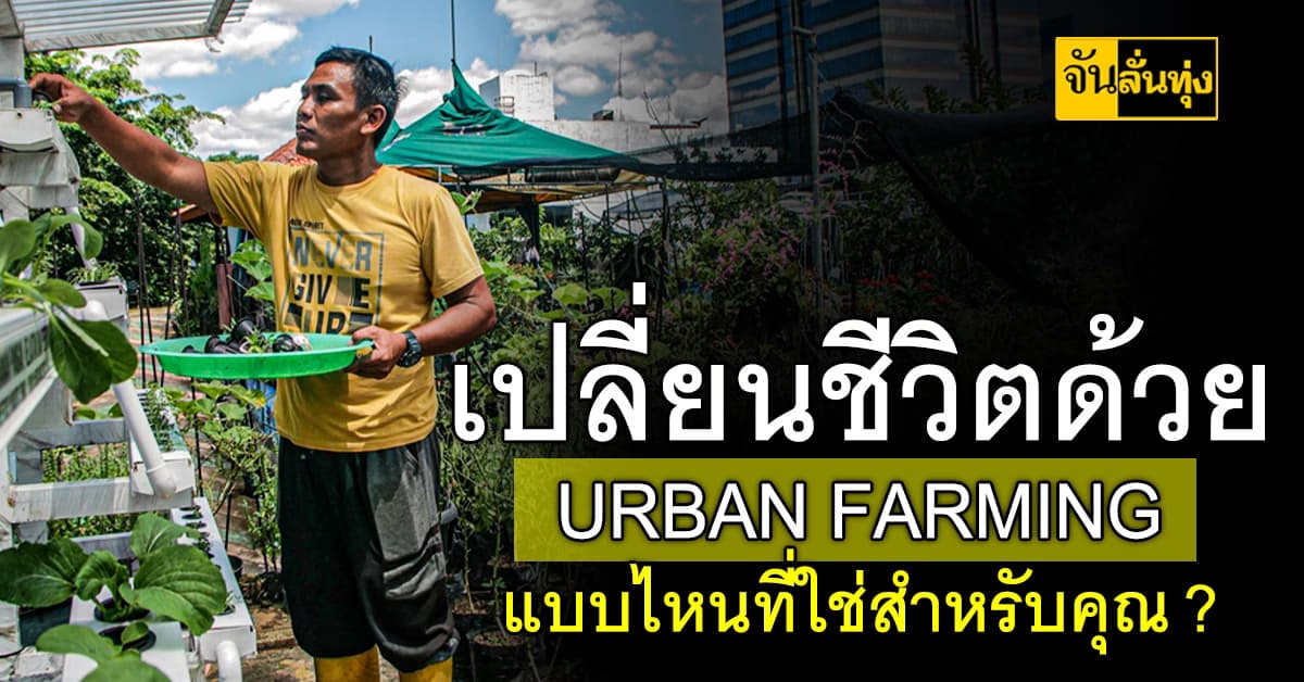 Urban Farming แบบไหนที่ใช่สำหรับคุณ?