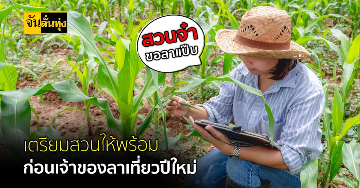 เตรียมสวนให้พร้อม ก่อนเจ้าของลาเที่ยวปีใหม่