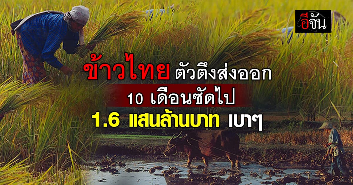 ข้าวไทย ยังแชมป์ส่งออก 10 เดือน มูลค่าทะลุ 1.6 แสนล้านบาท