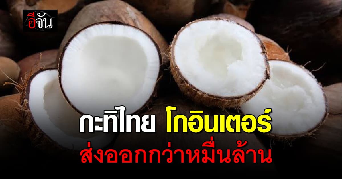 “กะทิไทย” เฉิดฉายตลาดโลก ส่งออกโตหมื่นล้าน