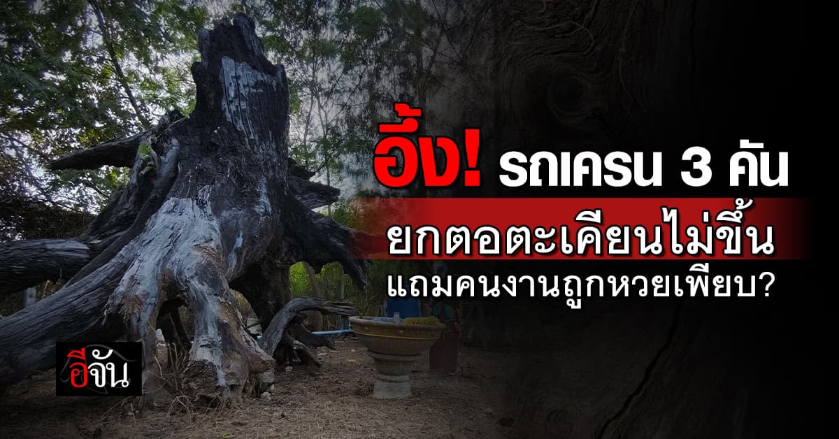 สุดอึ้ง! รถเครน 3 คัน ยกตอตะเคียนไม่ขึ้น แถมคนงานถูกหวยเพียบ? 