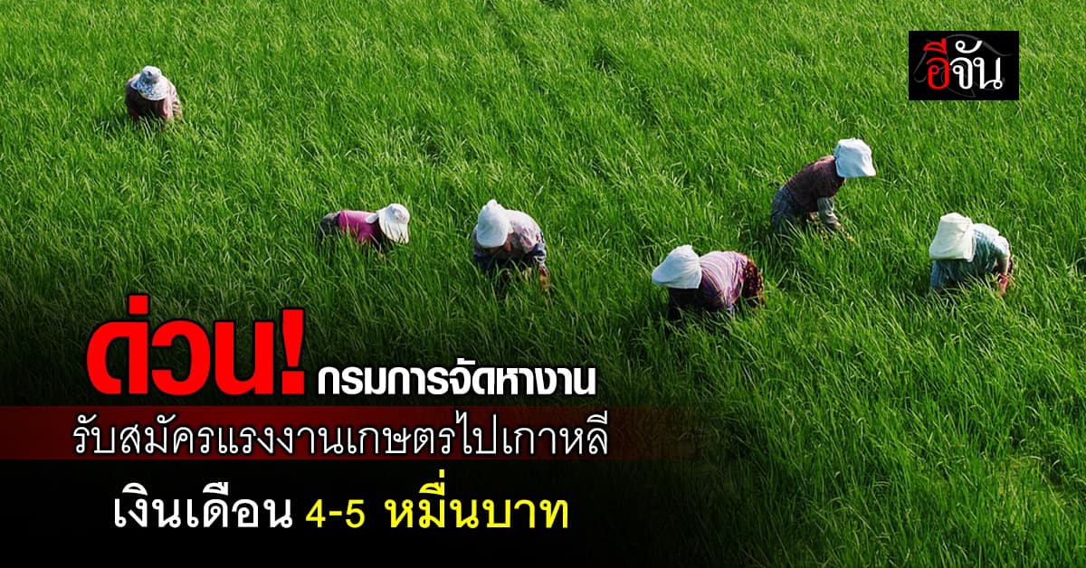 ด่วน! กรมการจัดหางาน รับสมัครแรงงานเกษตรไปเกาหลี เงินเดือน 4-5 หมื่นบาท