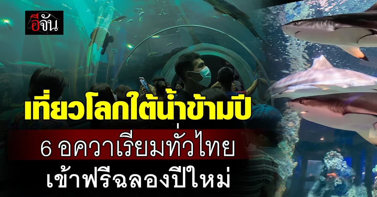 กรมประมง ร่วมส่งสุขปีใหม่ เปิดเที่ยวฟรี อควาเรียม-ศูนย์ประมง ทั่วไทย