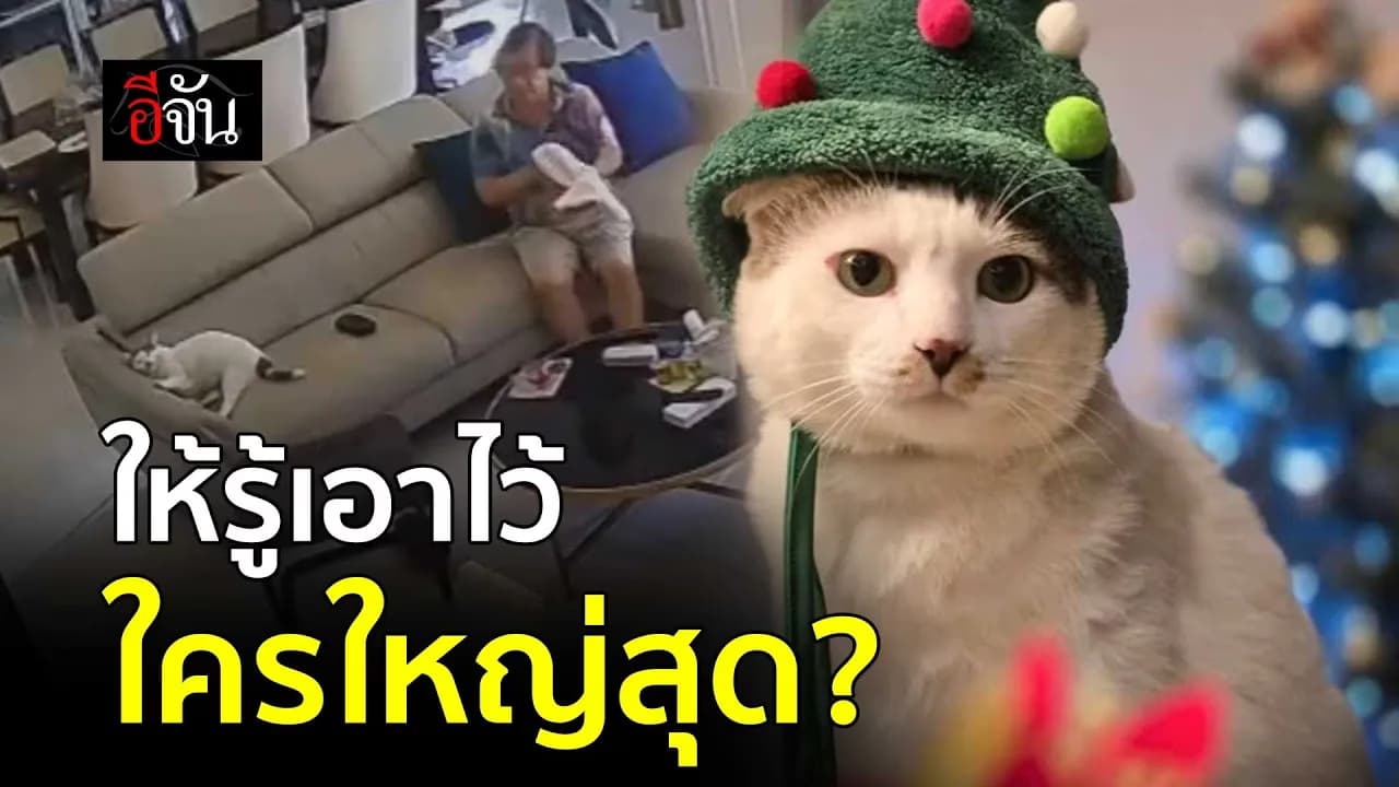 🎬 ให้รู้เอาไว้ ใครใหญ่สุดในบ้าน?