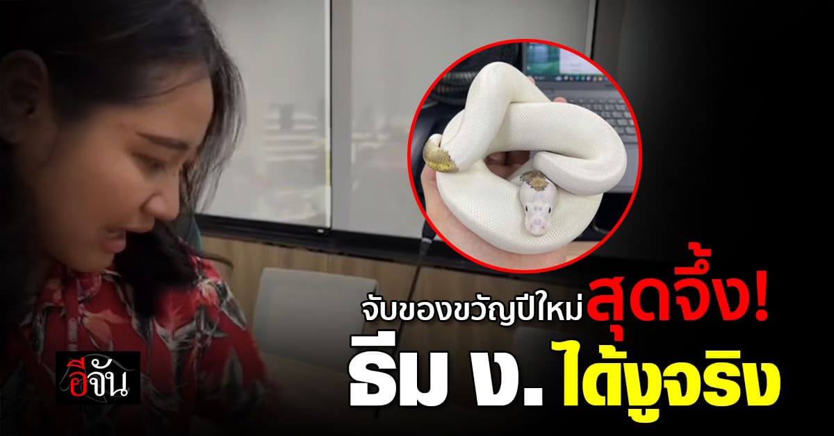 จับสลากของขวัญปีใหม่ สุดจึ้ง! ธีม ง. ได้งูตัวเป็นๆ