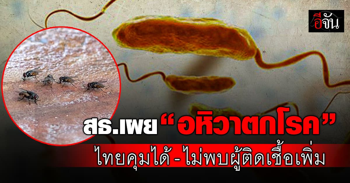 สธ.เผย “อหิวาตกโรค” ไทยเอาอยู่-ไม่พบผู้ติดเชื้อเพิ่มจากเดิม 4 ราย