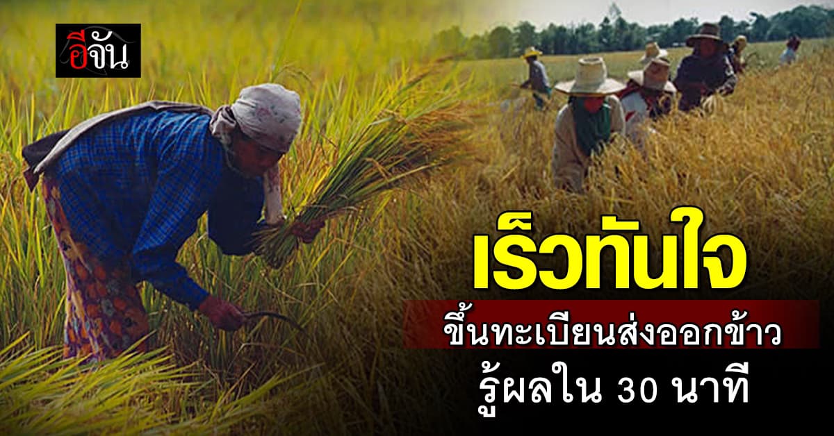 รัฐเดินหน้า หนุนส่งออกข้าว ลดขั้นตอน ขึ้นทะเบียนส่งออกข้าว จาก 3 วัน เหลือ 30 นาที!