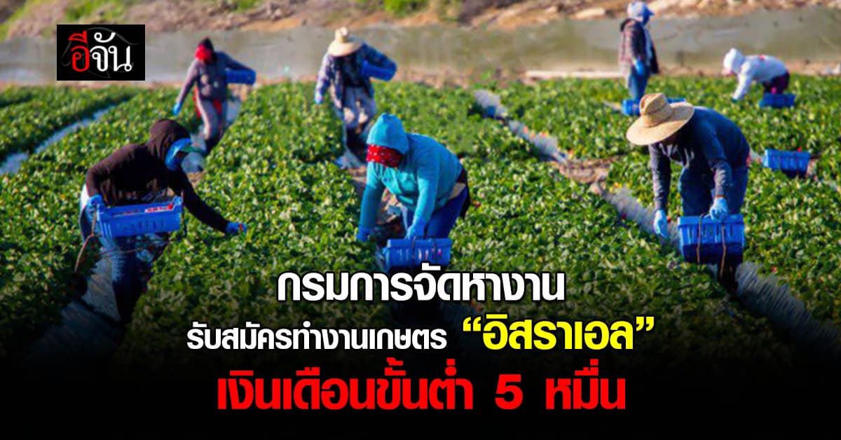 กรมการจัดหางาน รับสมัครทำงานเกษตร “อิสราเอล” เงินเดือน 5 หมื่นบาท – เผยเคสลอยแพ 250 แรงงานไทยไปทำงานออสเตรเลีย