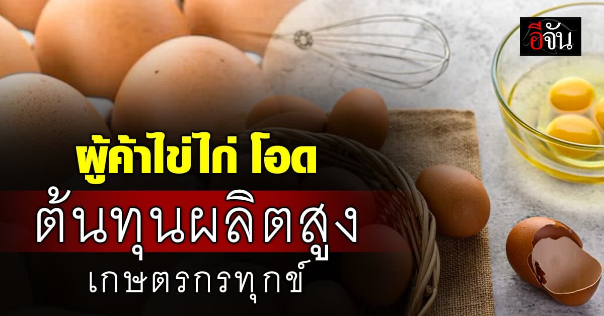 เสียงทุกข์ของผู้ค้าไข่ไก่                                   ต้นทุนสูงโรคระบาดเพียบ ทุกข์หนักรับปี 68 