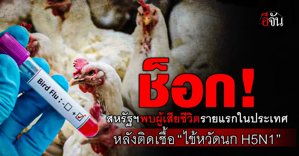 ช็อก! สหรัฐฯ ยัน พบผู้เสียชีวิตรายแรก จากการติดเชื้อ “ไข้หวัดนก H5N1”