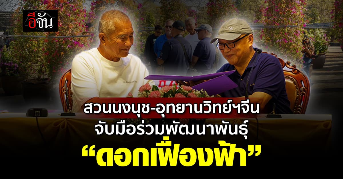 สวนนงนุช อุทยานวิทย์ฯจีน ร่วมลงนาม MOU พัฒนาพันธุ์ “ดอกเฟื่องฟ้า”  