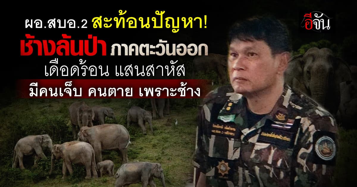 ผอ.สบอ.2 สะท้อนปัญหา ช้างล้นป่า ภาคตะวันออก สร้างปัญหาสาหัส