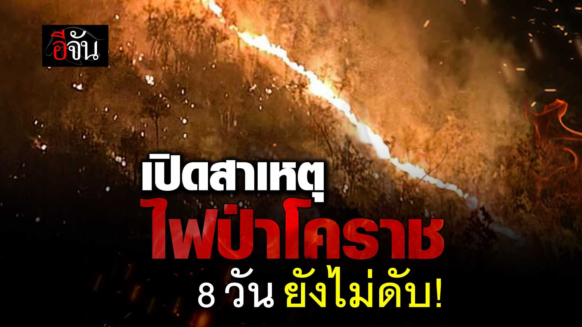 🎬 เปิดสาเหตุ ไฟป่าเขาใหญ่ 8 วัน ยังไม่ดับ!