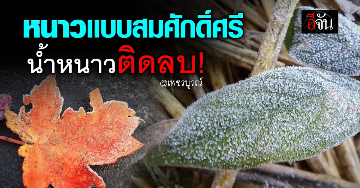 หน้าหนาวปีนี้ สมศักดิ์ศรีจริงๆ “น้ำหนาว” จ.เพชรบูรณ์ ติดลบ 3 องศาแม่คะนิ้งโผล่ 