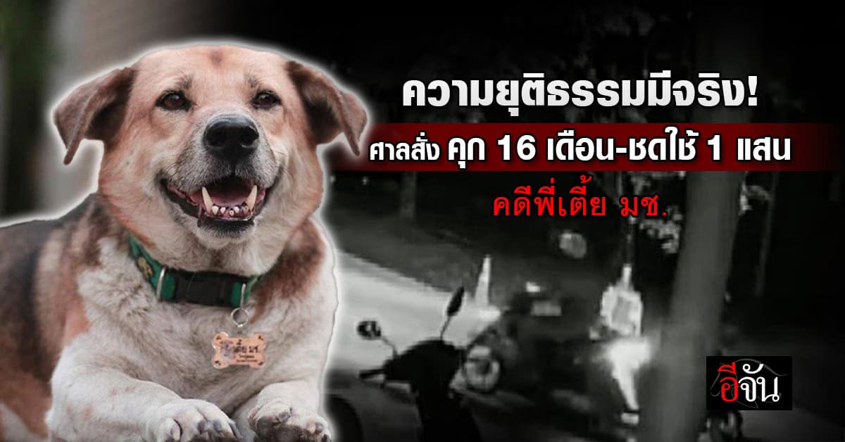 ความยุติธรรมมีจริง! ศาลสั่งจำคุก 16 เดือน-ชดใช้ 1 แสนบาท คดีพี่เตี้ย มช. 