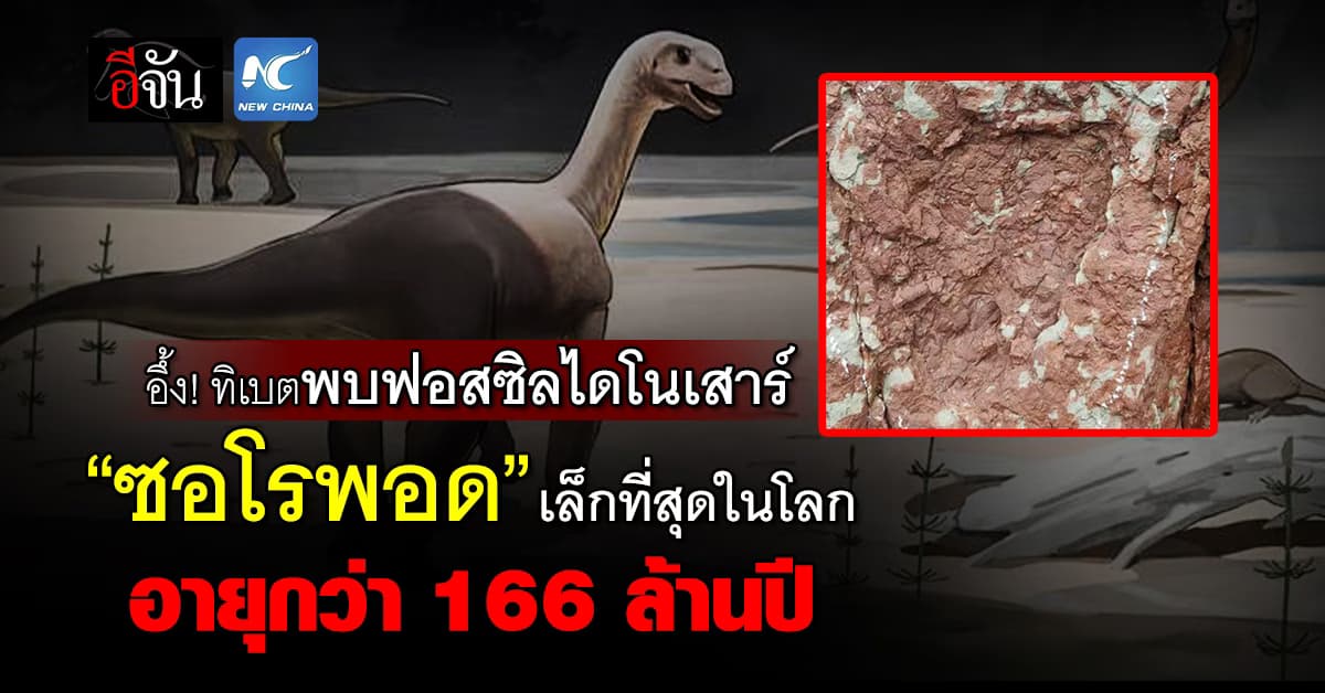 อึ้ง! ทิเบตพบฟอสซิลไดโนเสาร์ “ซอโรพอด” เล็กที่สุดในโลก อายุกว่า 166 ล้านปี