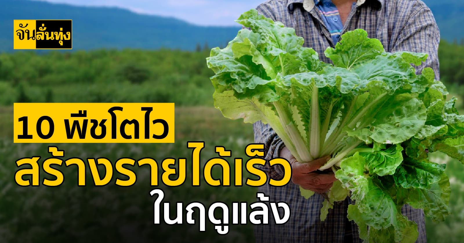 10 พืชโตไว สร้างรายได้เร็วในฤดูแล้ง