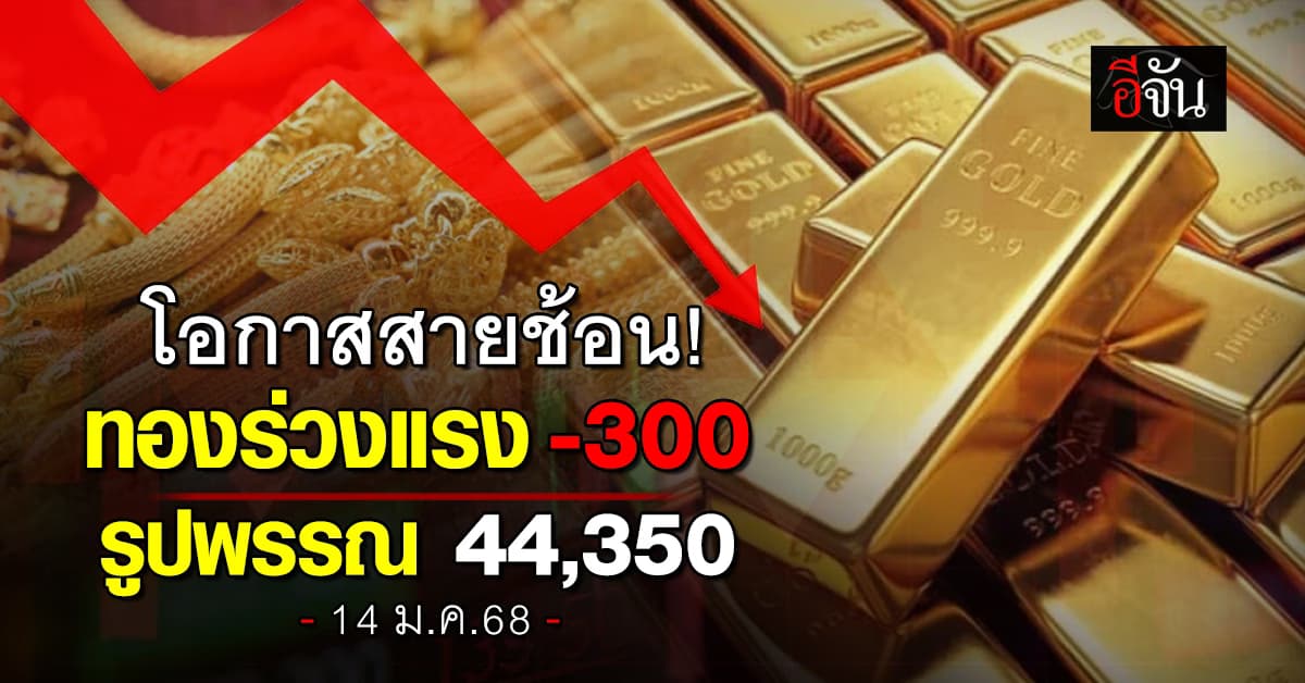ราคาทองวันนี้ (14 ม.ค.68) ร่วงแรง -300 รูปพรรณ 44,350 บาท