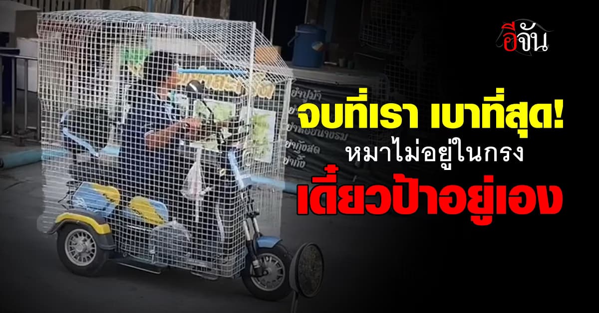 ให้มันจบที่เรา! ป้าโดนหมากัด เลยเอาเงินทำขวัญ มาทำกรงครอบตัวเอง 