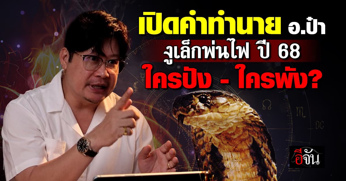 อ.ป๋า ปุญญาดิศ เปิดดวงปี 2568 งูเล็กพ่นไฟ