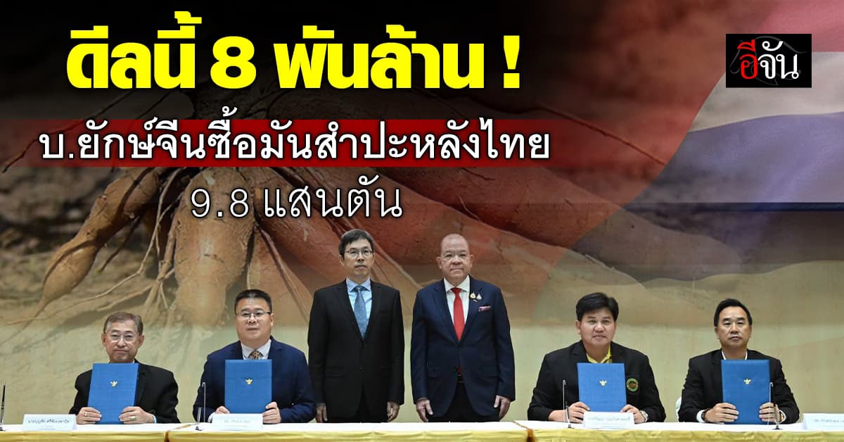 ดีลนี้ 8 พันล้าน! จีนซื้อมันสำปะหลังไทย 9.8 แสนตัน มูลค่า 8 พันล้าน