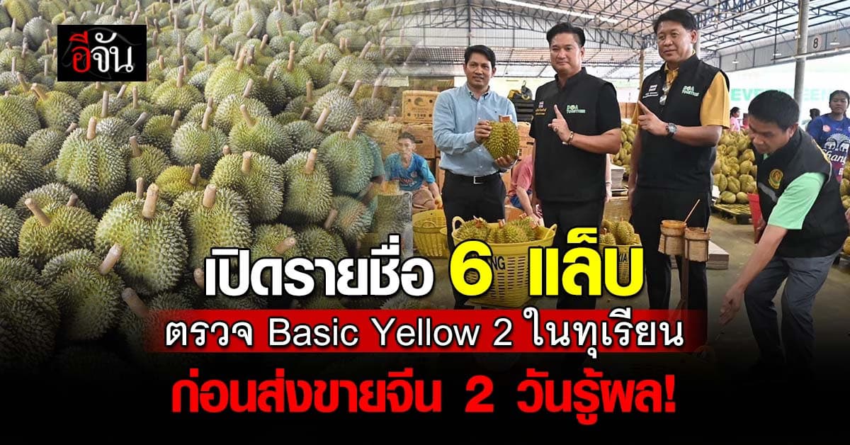 ก.เกษตรเปิดชื่อ 6 แล็บ รับตรวจ Basic Yellow ในทุเรียน