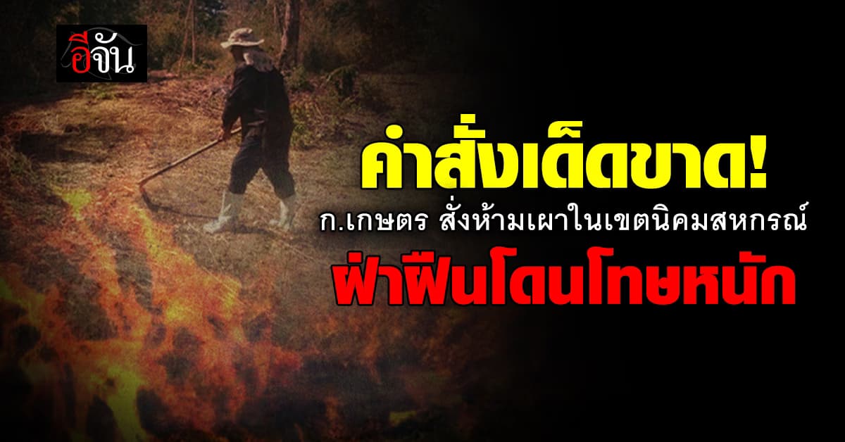 ก.เกษตร สั่งเข้ม ห้ามเผาในเขตนิคมสหกรณ์ หากฝ่าฝืน ตัดสิทธิ์หลายมาตรการ