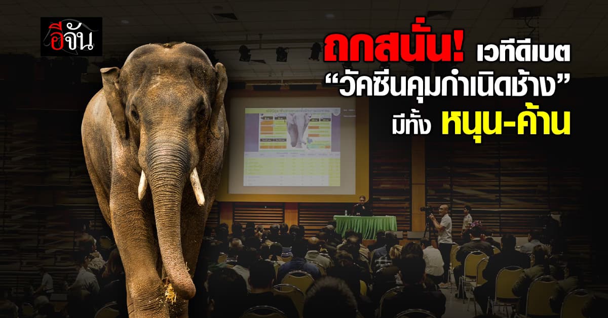 ถกกันสนั่น! เวทีดีเบต “วัคซีนคุมกำเนิดช้าง” มีทั้ง หนุน-ค้าน